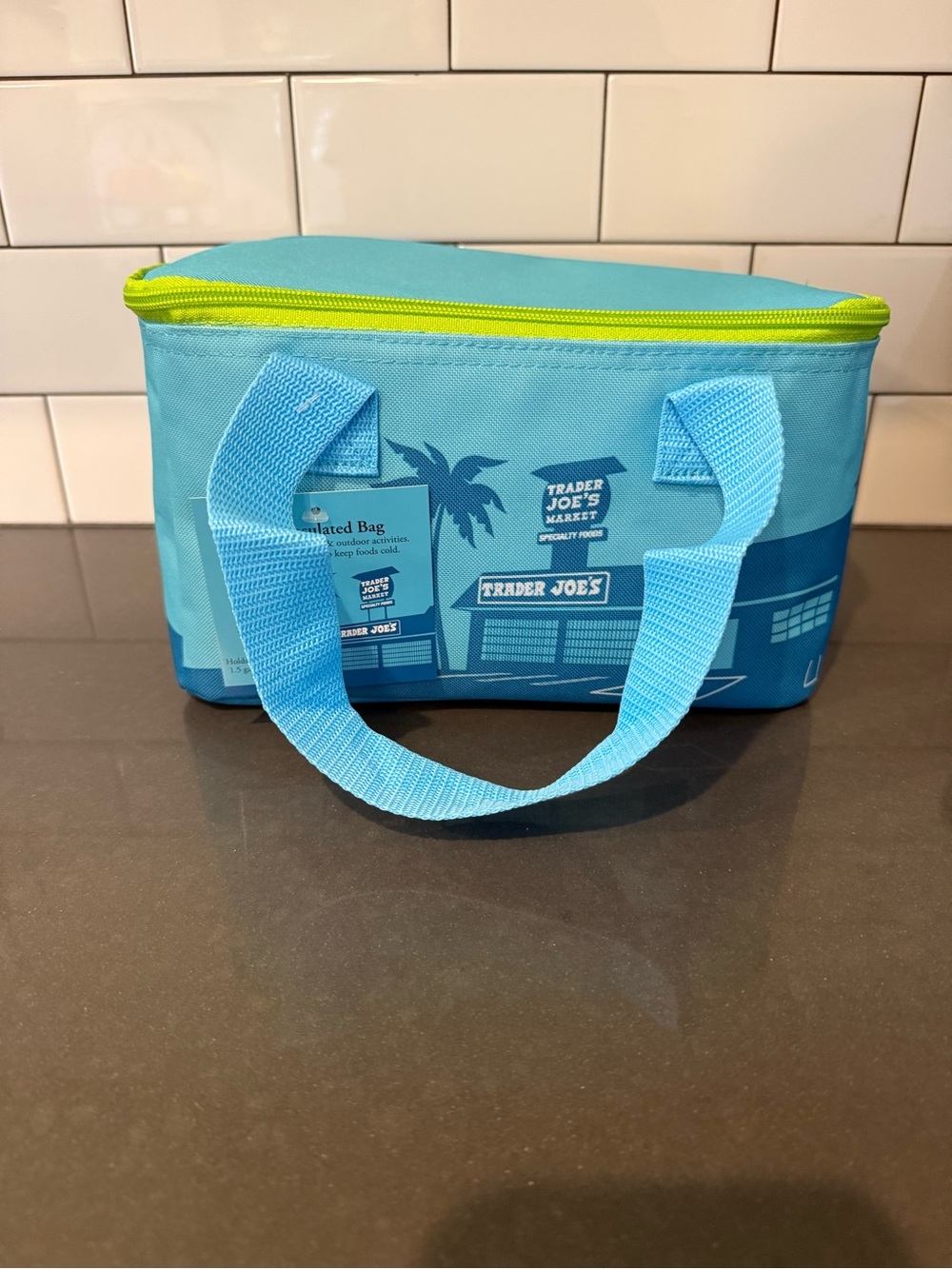 Trader Joe's Blue Insulated Mini Tote